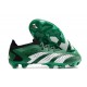 adidas Predator Accuracy.1 Low FG Vert Blanc