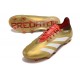 Chsussure Adidas Predator Elite FG Or Blanc Rouge